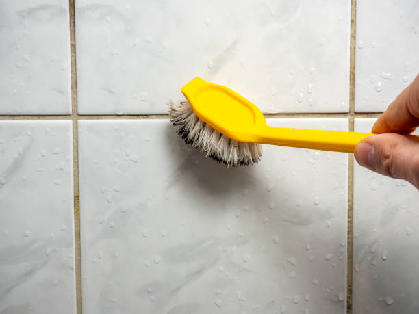 Best Office Mold Removal Services  in Glide, OR