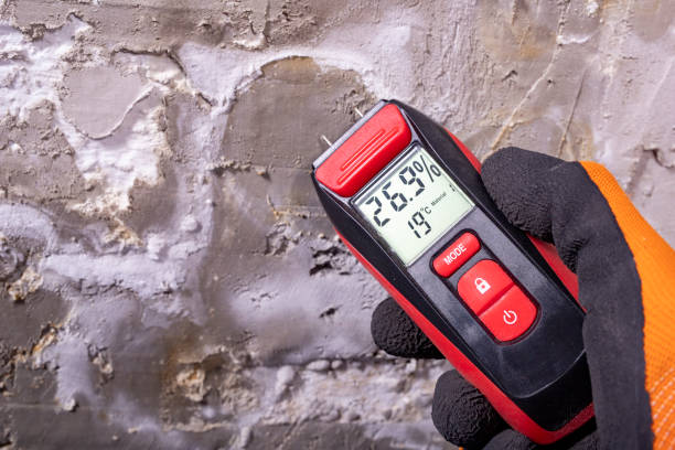 Professional Mold Removal in Glide, OR
