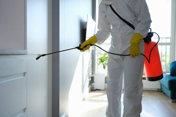 Best Professional Mold Removal  in Glide, OR